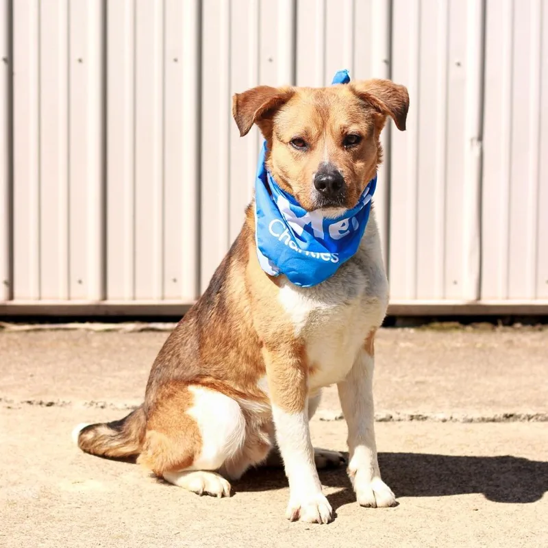 Walmart Greeter thumbnail 3