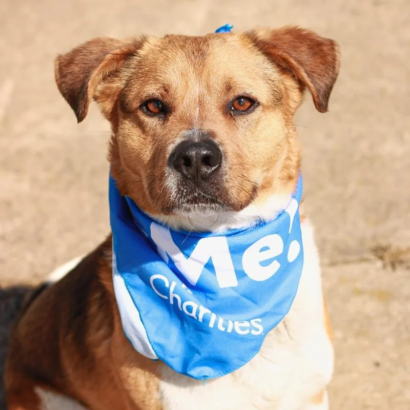 Walmart Greeter thumbnail 5