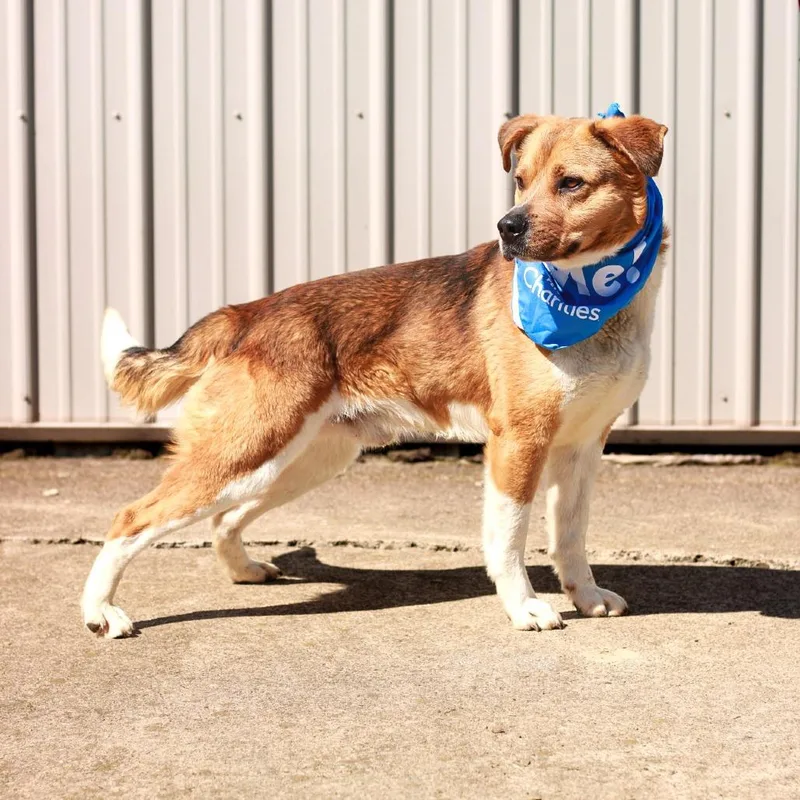 Walmart Greeter thumbnail 6