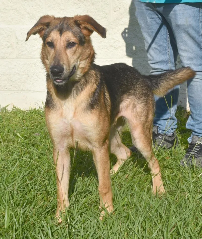 Xena
