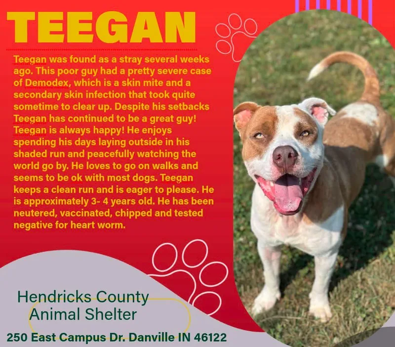 Teegan