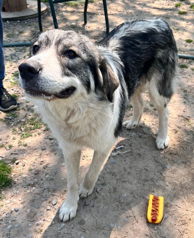 Sweet Girl thumbnail 3