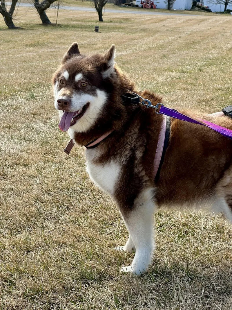 Natashanatty thumbnail 5