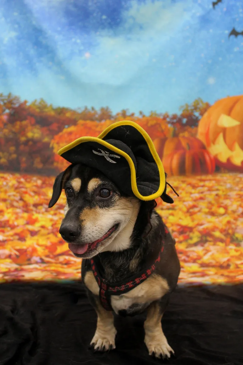 Lucy thumbnail 2