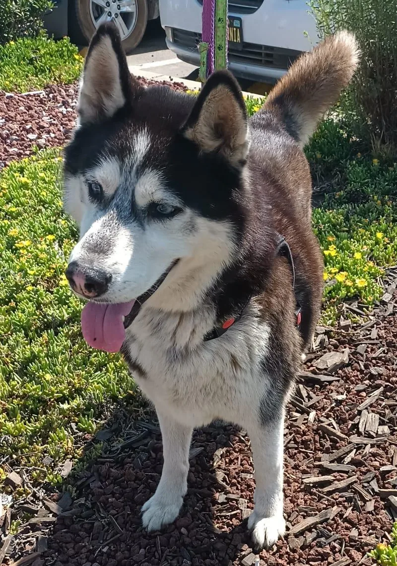 Mr. John thumbnail 2