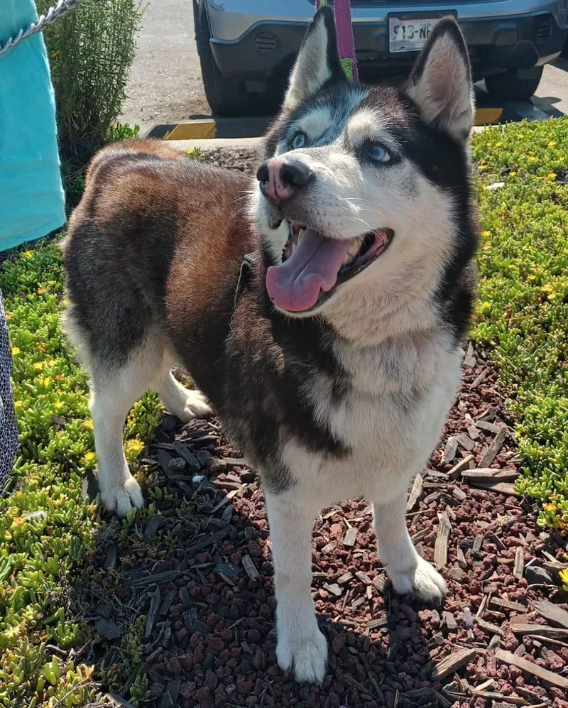 Mr. John thumbnail 5