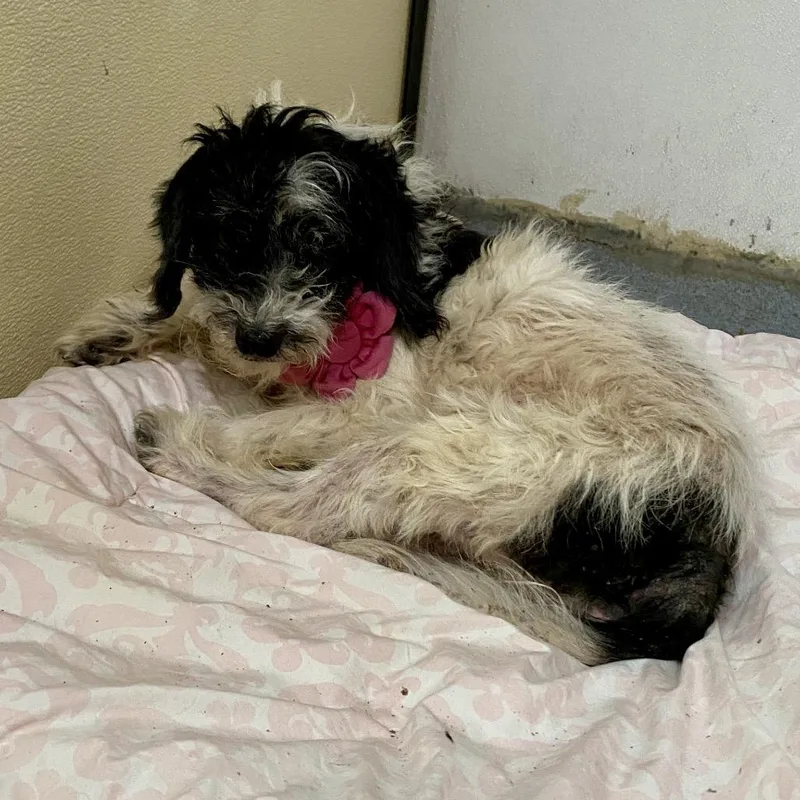 Reign  Costa Mesa thumbnail 2