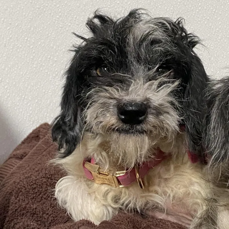 Reign  Costa Mesa thumbnail 3