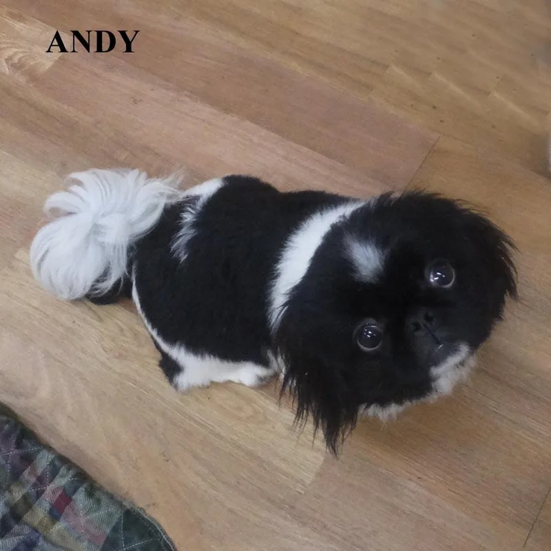 Andy Gentry Lenny thumbnail 4