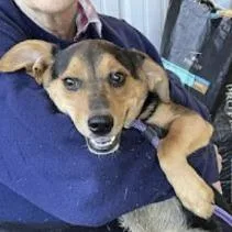 Lucky Wv thumbnail 2