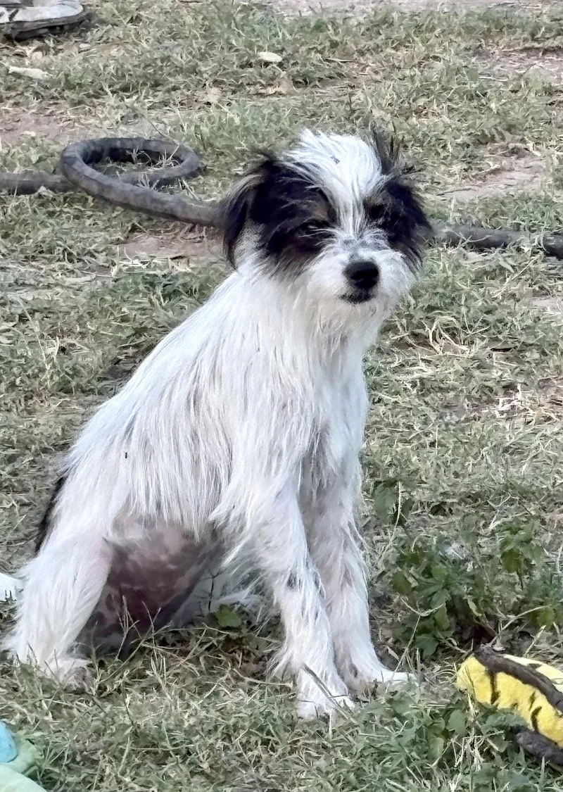 Delilah thumbnail 3