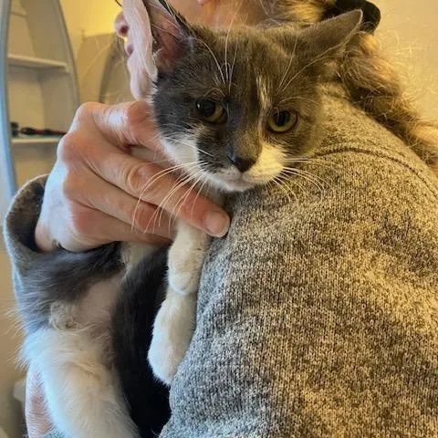 Rowan And Jerri thumbnail 2