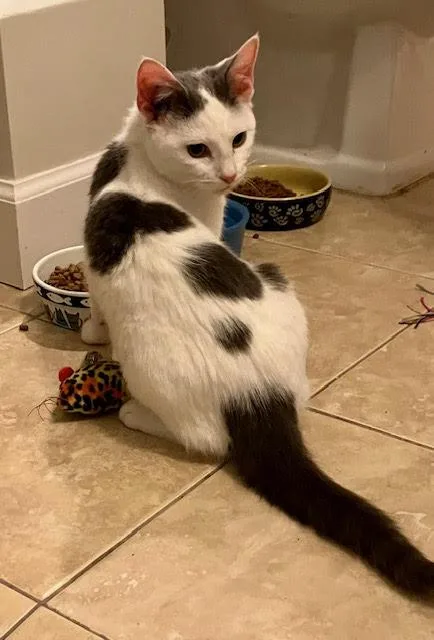 Rowan And Jerri thumbnail 3