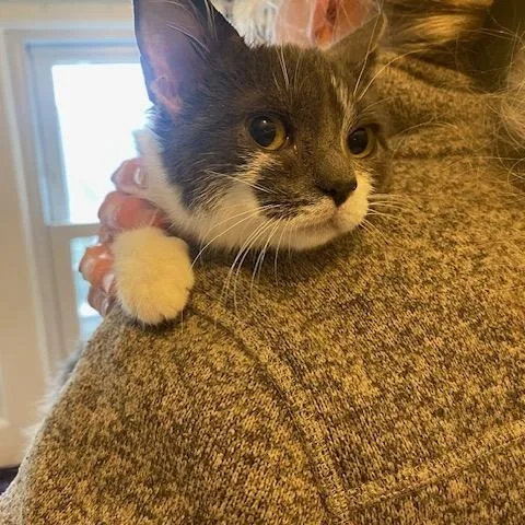 Rowan And Jerri thumbnail 4