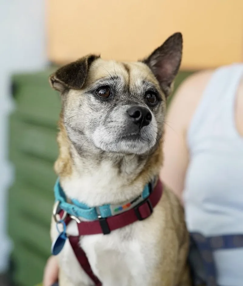 Gretta