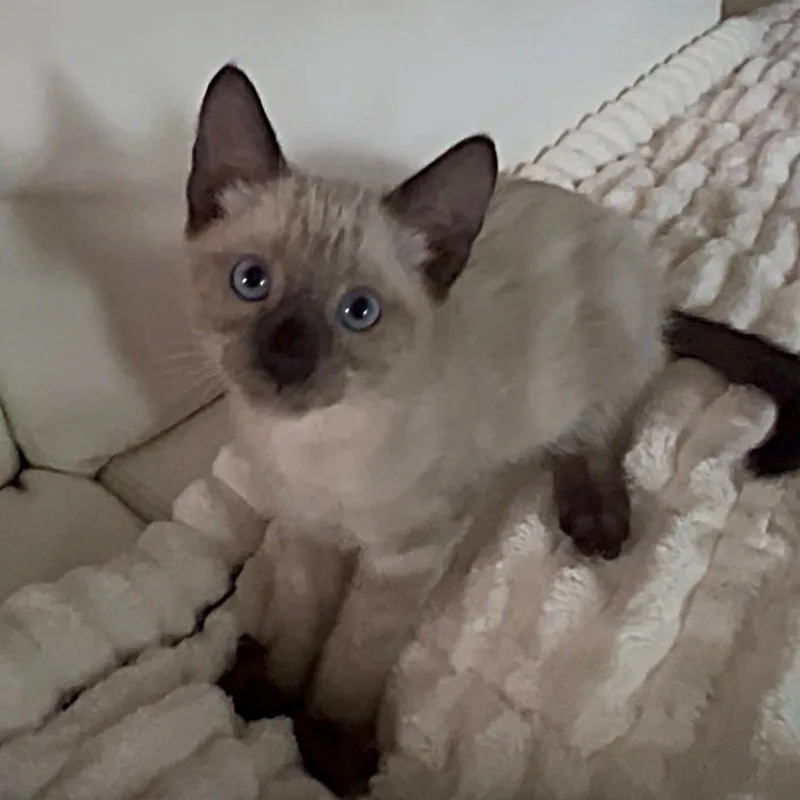 Marco thumbnail 6
