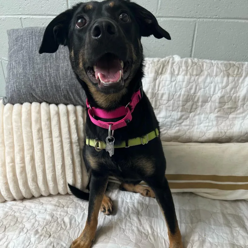 Sparkles thumbnail 2