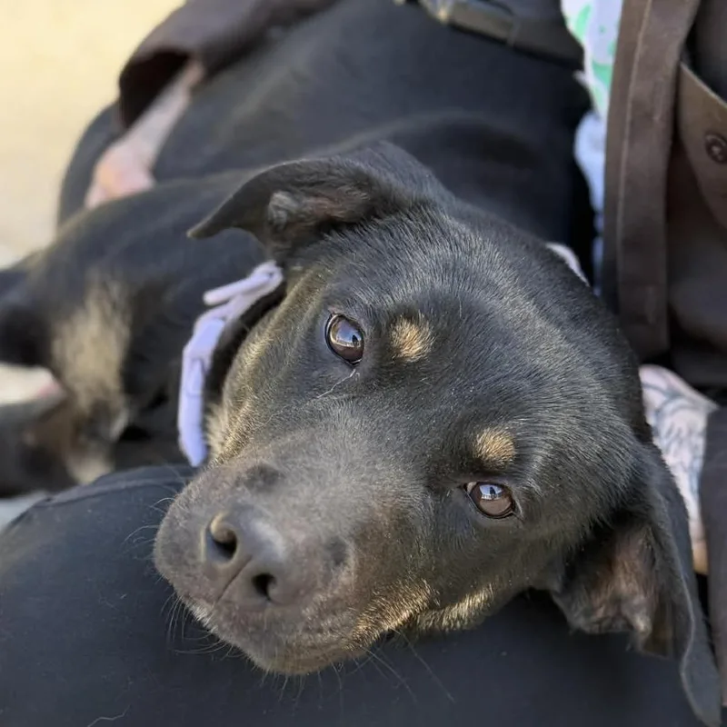 Sparkles thumbnail 3