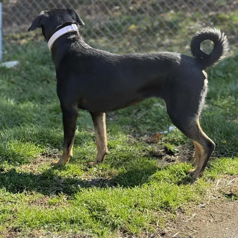 Sparkles thumbnail 4