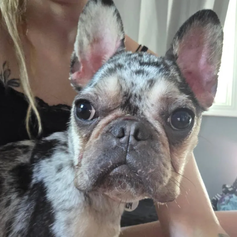 Cookie thumbnail 3