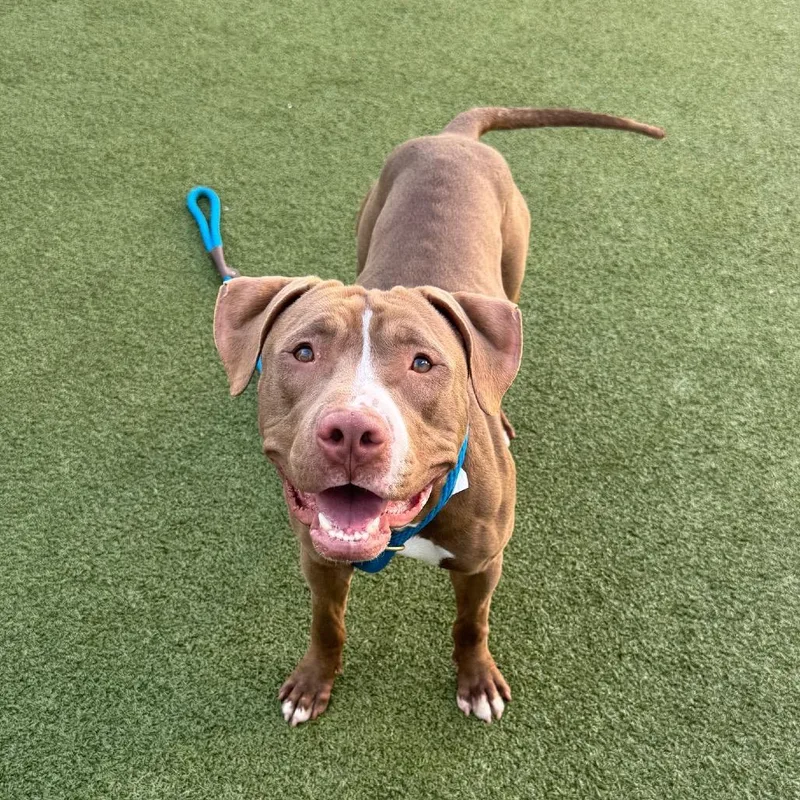 Poseidon thumbnail 2