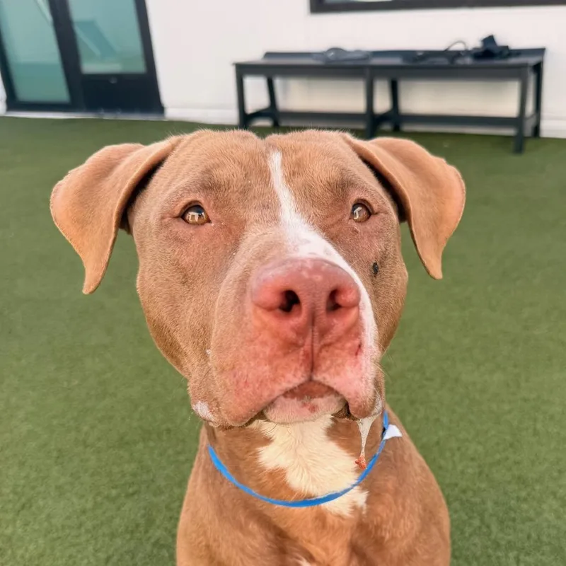 Poseidon thumbnail 3