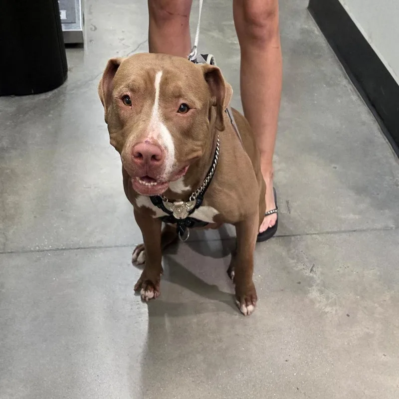 Poseidon thumbnail 5