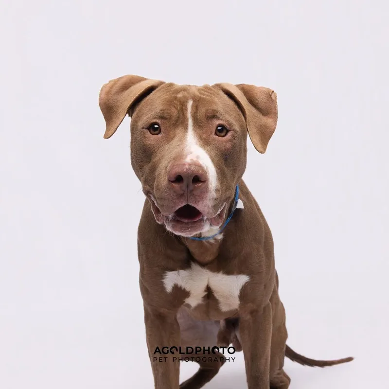 Poseidon thumbnail 6