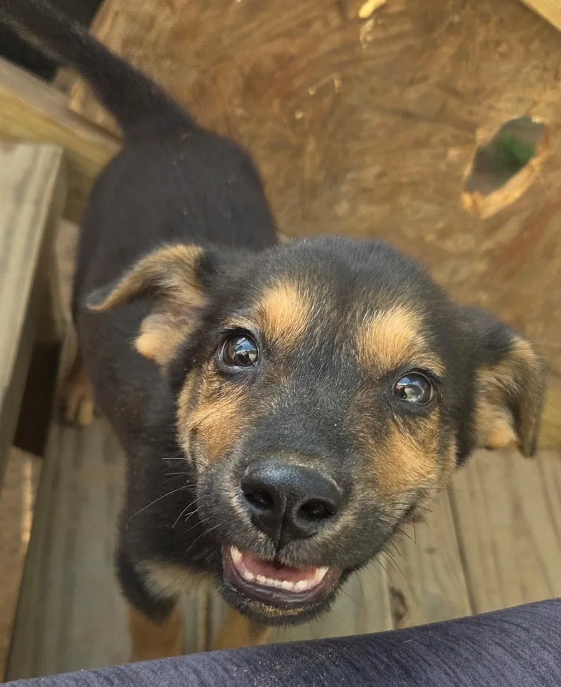 Charlie