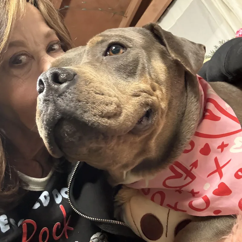 Reina  Sweet  thumbnail 3