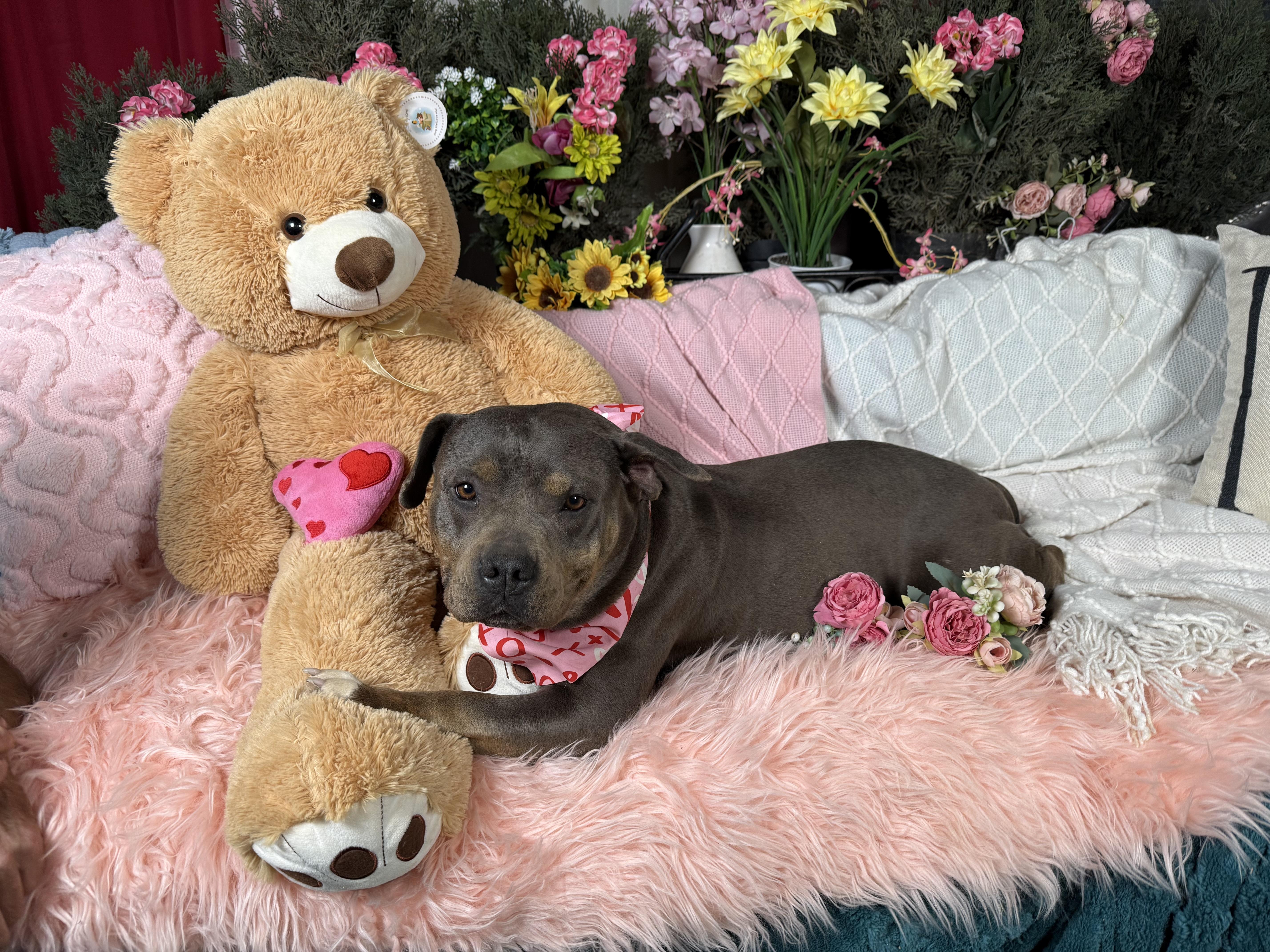 Reina  Sweet  thumbnail 4