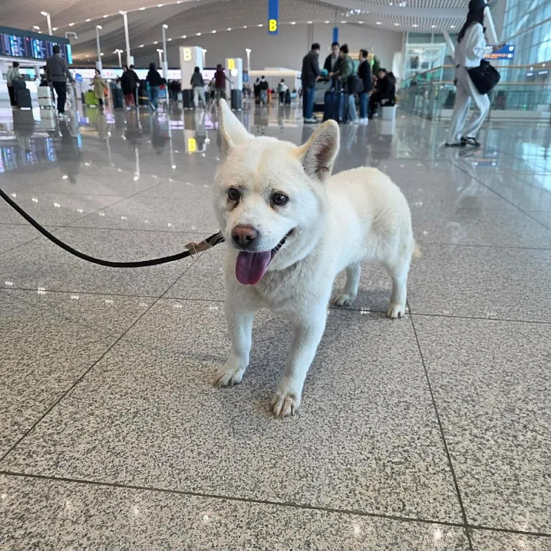 Haetban Hw+ thumbnail 2