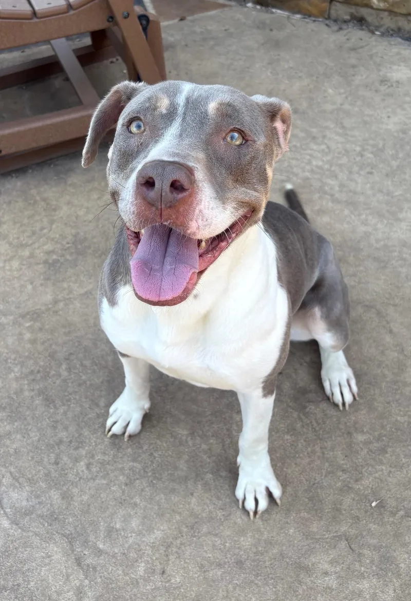 Princess thumbnail 2