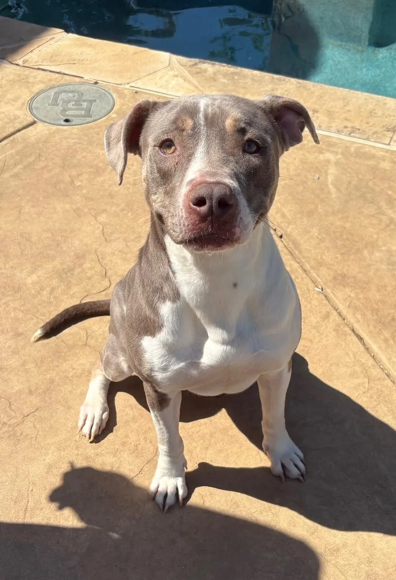 Princess thumbnail 6