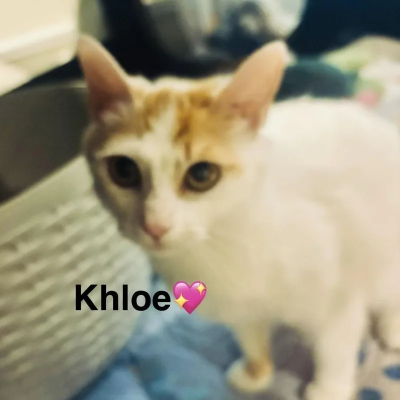 Khloe