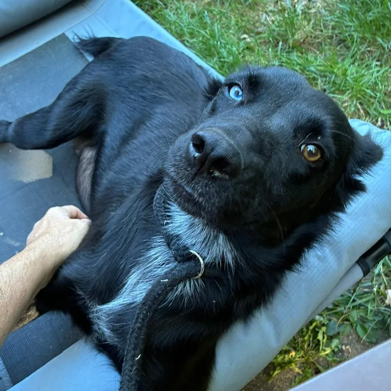 Gretta thumbnail 6