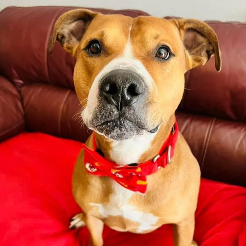 Hercules thumbnail 2