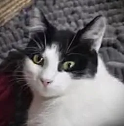 Edith@ Petsmart Mankato