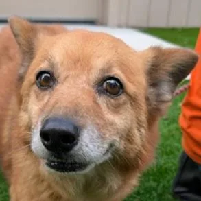 Fiona
