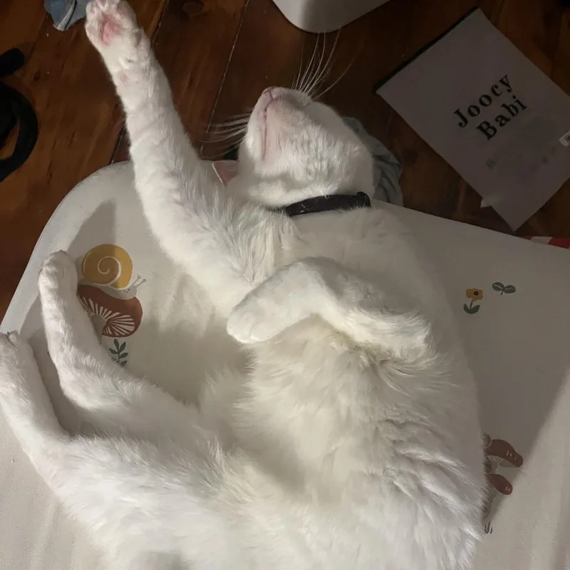 Missy Elliot thumbnail 5