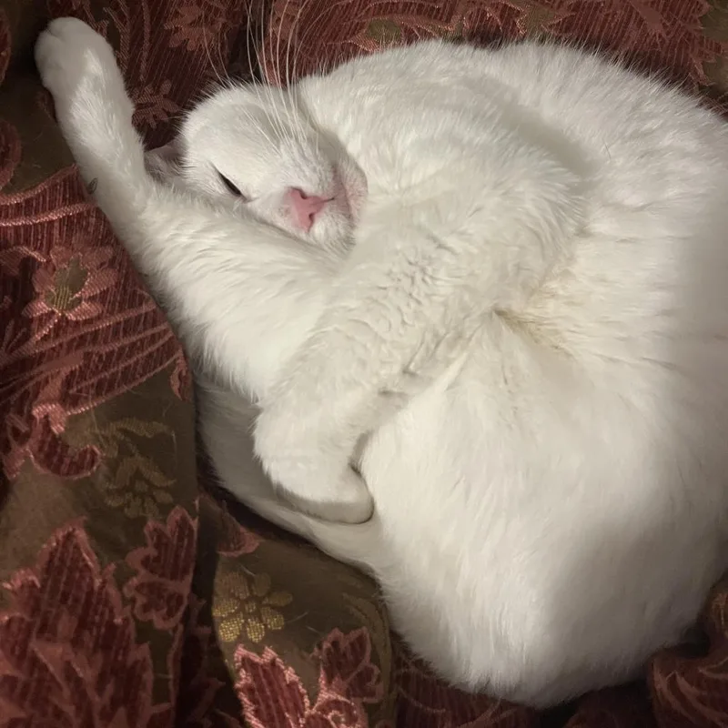 Missy Elliot thumbnail 6