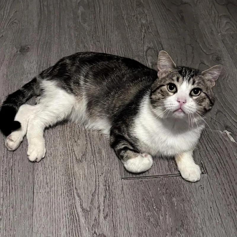 Tom