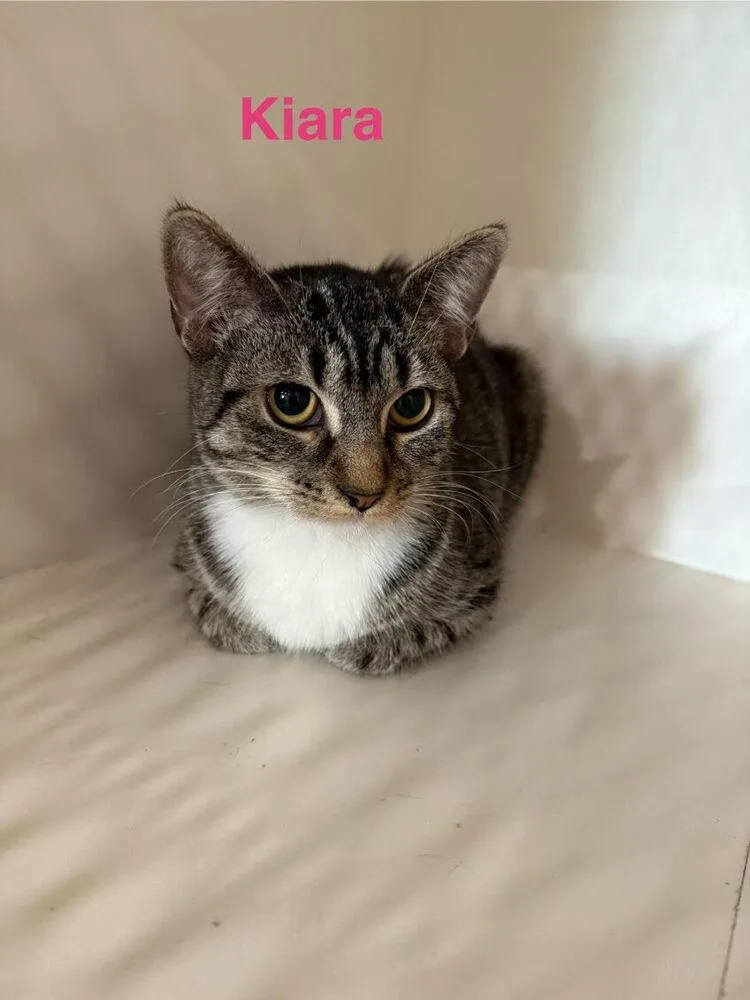 Kiara thumbnail 2