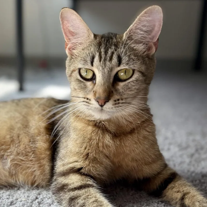 Sasha thumbnail 2