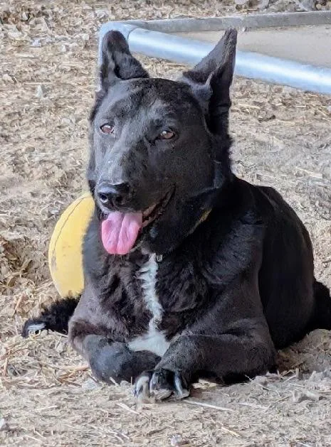 Penelopy thumbnail 2