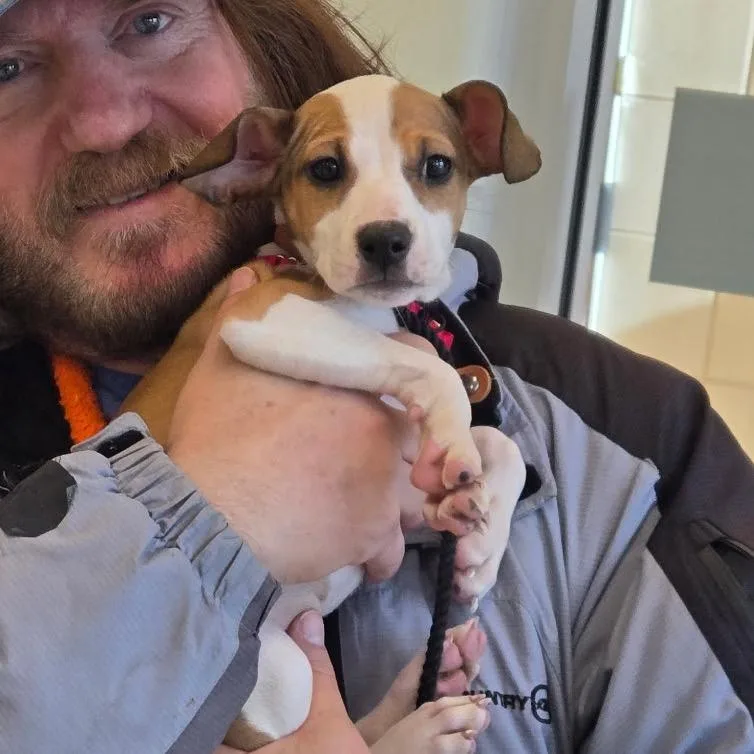 Daffodil thumbnail 3