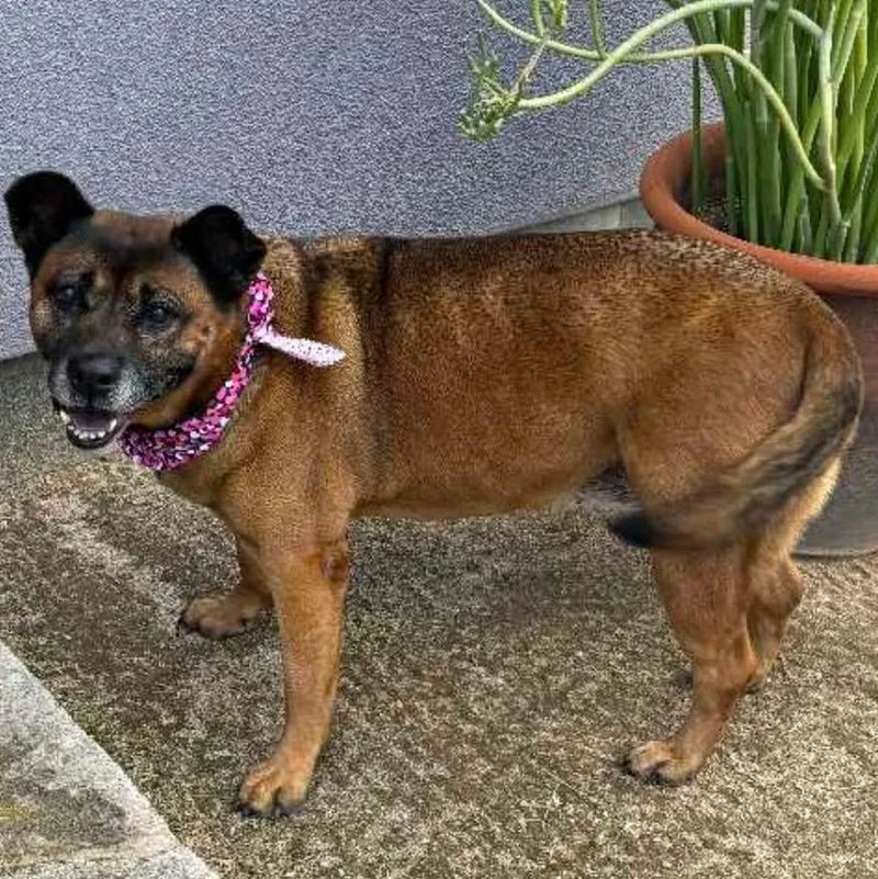 Socrates thumbnail 2