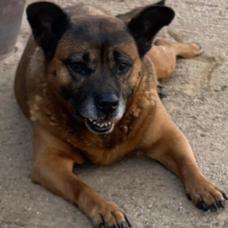 Socrates thumbnail 3