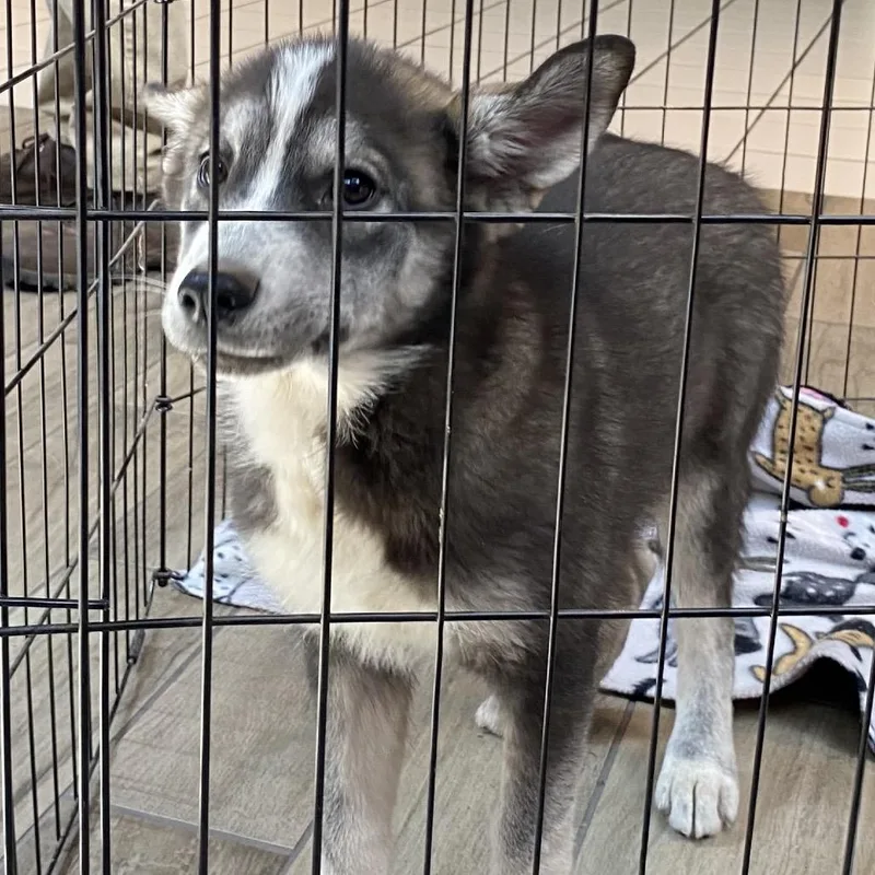 Mary Ann thumbnail 2