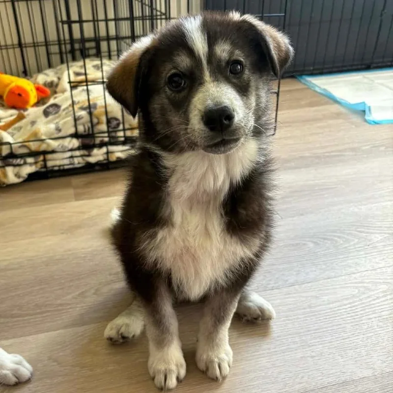 Mary Ann thumbnail 3